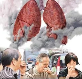 &#20061;&#28216;&#23089;&#20048;