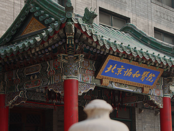 &#20061;&#28216;&#23089;&#20048;