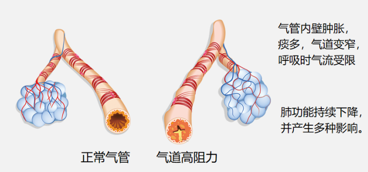 &#20061;&#28216;&#23089;&#20048;