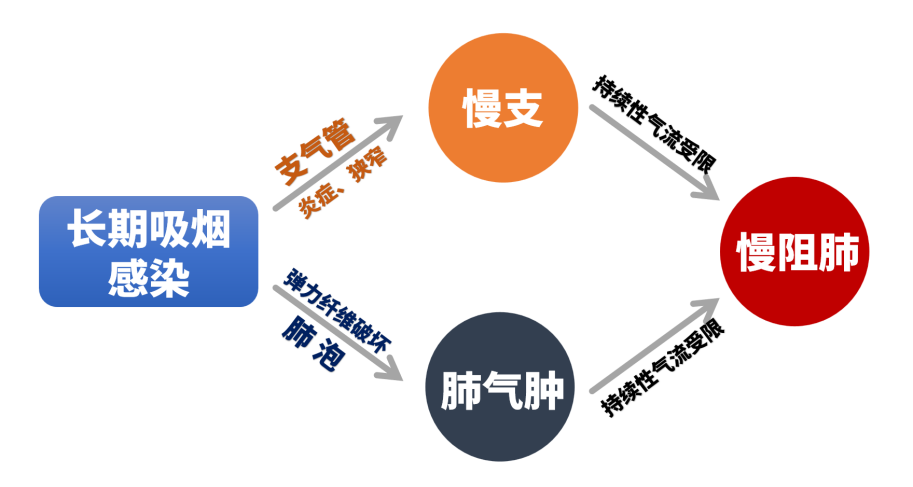 &#20061;&#28216;&#23089;&#20048;