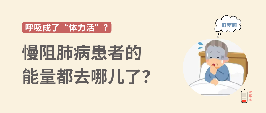 &#20061;&#28216;&#23089;&#20048;